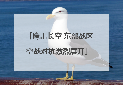 鹰击长空 东部战区空战对抗激烈展开