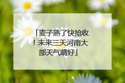 麦子熟了快抢收！未来三天河南大部天气晴好