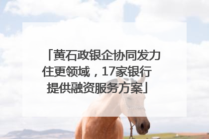 黄石政银企协同发力住更领域，17家银行提供融资服务方案