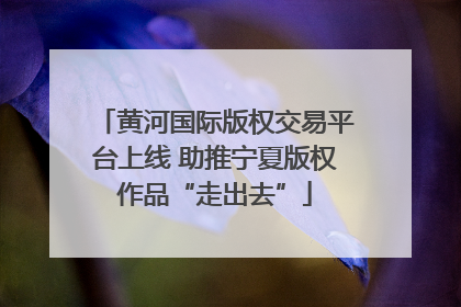 黄河国际版权交易平台上线 助推宁夏版权作品“走出去”