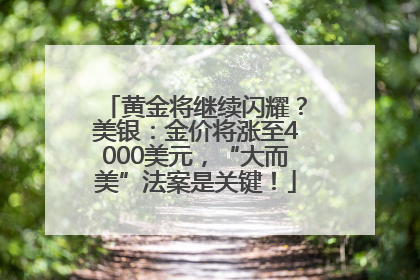 黄金将继续闪耀？美银：金价将涨至4000美元，“大而美”法案是关键！
