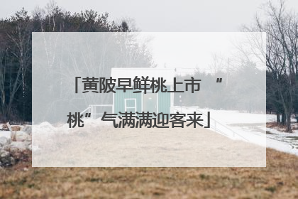 黄陂早鲜桃上市 “桃”气满满迎客来