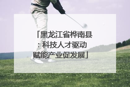 黑龙江省桦南县：科技人才驱动 赋能产业促发展