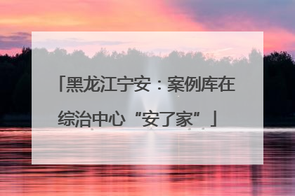 黑龙江宁安：案例库在综治中心“安了家”