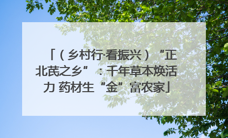 （乡村行·看振兴）“正北芪之乡”：千年草本焕活力 药材生“金”富农家