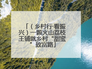 （乡村行·看振兴）一颗火山荔枝王铺就乡村“甜蜜”致富路