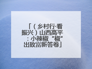（乡村行·看振兴）山西高平：小辣椒“椒”出致富新答卷