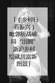 （乡村行·看振兴）毗邻统战破局“出圈” 浙沪乡村绘就共富新图景