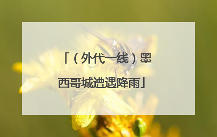 （外代一线）墨西哥城遭遇降雨
