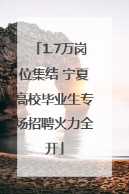 1.7万岗位集结 宁夏高校毕业生专场招聘火力全开