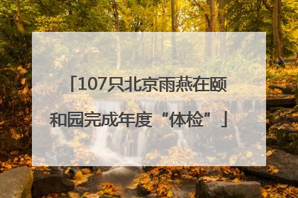 107只北京雨燕在颐和园完成年度“体检”