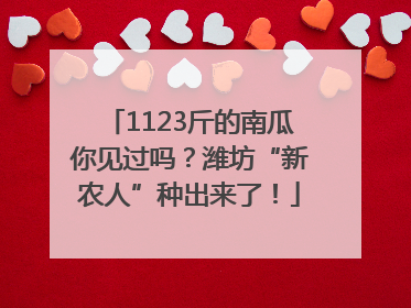 1123斤的南瓜你见过吗？潍坊“新农人”种出来了！