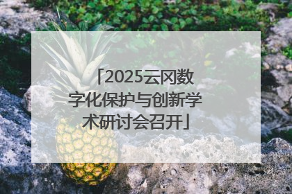 2025云冈数字化保护与创新学术研讨会召开