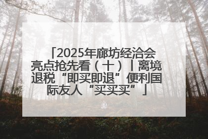 2025年廊坊经洽会亮点抢先看（十）丨离境退税“即买即退”便利国际友人“买买买”