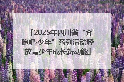 2025年四川省“奔跑吧·少年”系列活动释放青少年成长新动能
