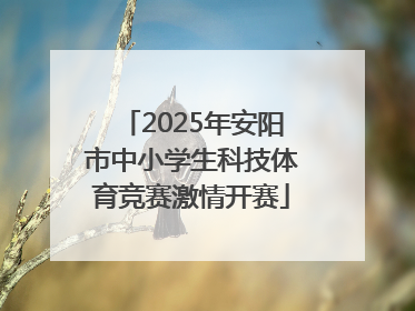 2025年安阳市中小学生科技体育竞赛激情开赛