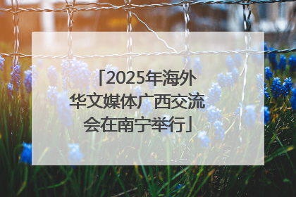 2025年海外华文媒体广西交流会在南宁举行