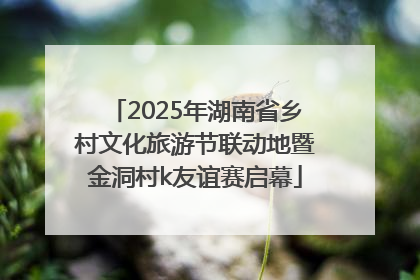2025年湖南省乡村文化旅游节联动地暨金洞村k友谊赛启幕