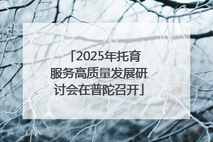 2025年托育服务高质量发展研讨会在普陀召开