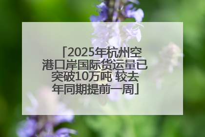 2025年杭州空港口岸国际货运量已突破10万吨 较去年同期提前一周