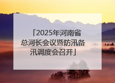 2025年河南省总河长会议暨防汛备汛调度会召开