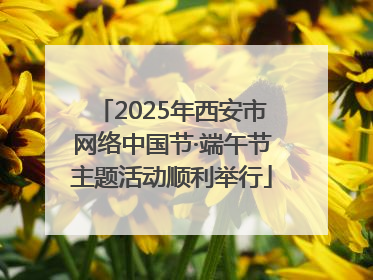 2025年西安市网络中国节·端午节主题活动顺利举行