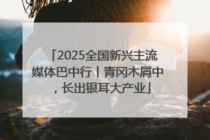 2025全国新兴主流媒体巴中行丨青冈木屑中，长出银耳大产业