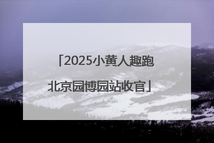 2025小黄人趣跑北京园博园站收官