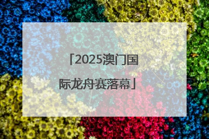 2025澳门国际龙舟赛落幕