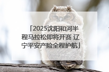 2025沈阳和河半程马拉松即将开赛 辽宁平安产险全程护航