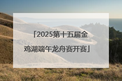 2025第十五届金鸡湖端午龙舟赛开赛