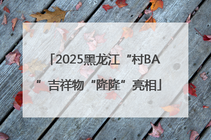 2025黑龙江“村BA”吉祥物“隆隆”亮相