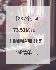 237个、473.51亿元！晒晒招商引资“成绩单”