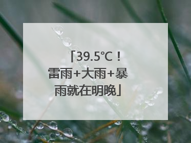 39.5℃！雷雨+大雨+暴雨就在明晚