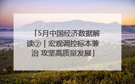 5月中国经济数据解读②｜宏观调控标本兼治 攻坚高质量发展