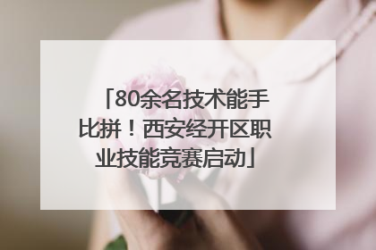 80余名技术能手比拼！西安经开区职业技能竞赛启动