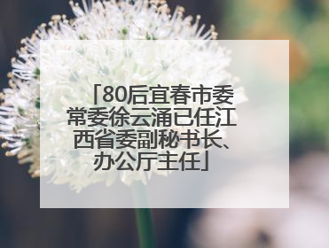 80后宜春市委常委徐云涌已任江西省委副秘书长、办公厅主任