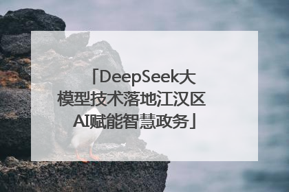 DeepSeek大模型技术落地江汉区 AI赋能智慧政务